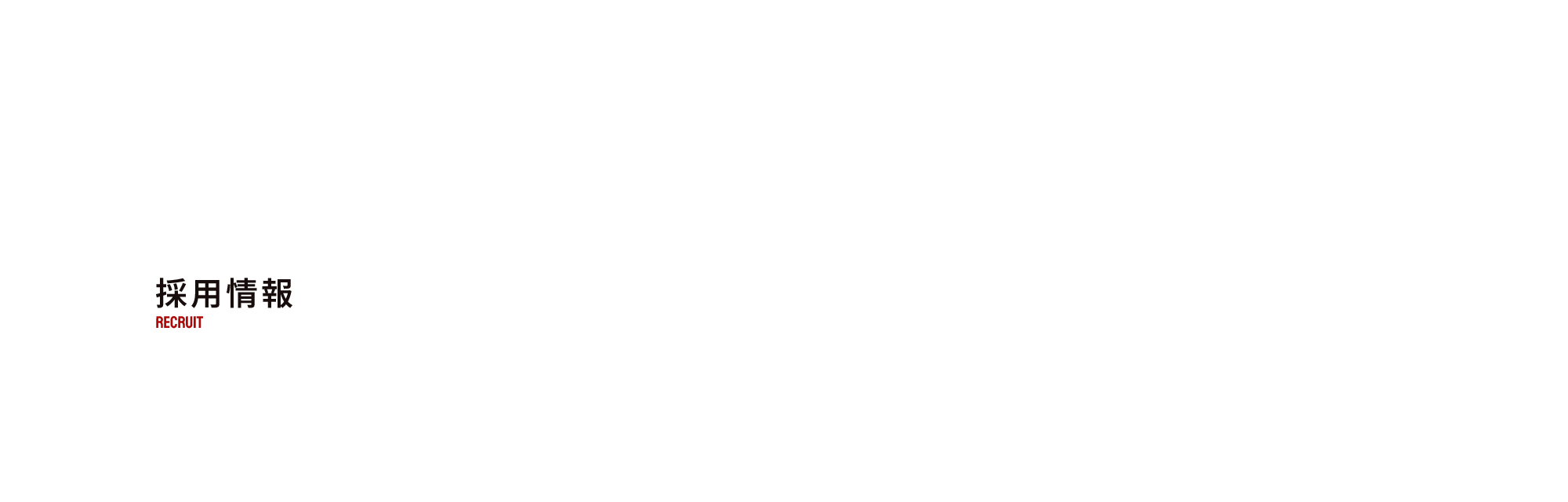採用情報